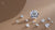 Popular Diamond Shapes