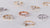 Simple Engagement Rings