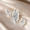 How Rare Is Dutch Marquise? The Definitive Answer Inside