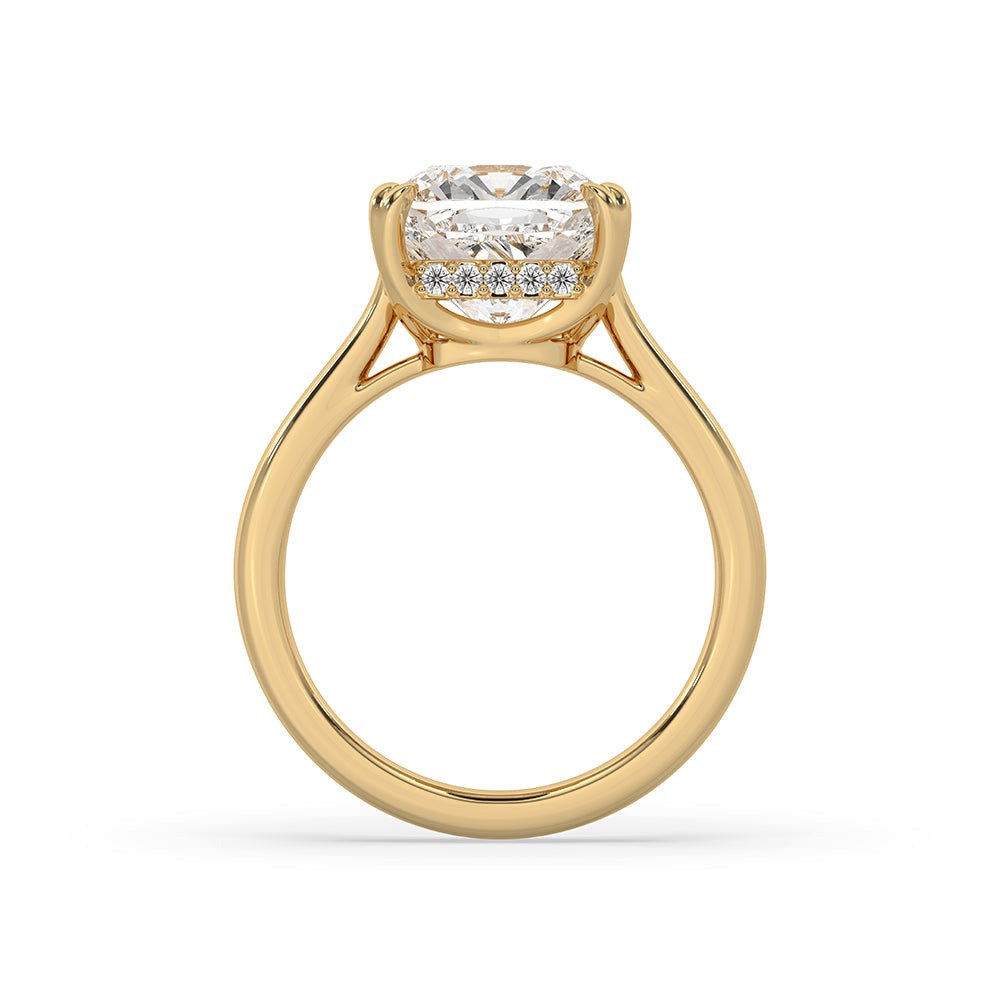 Solitaire engagement ring with a clean design.
