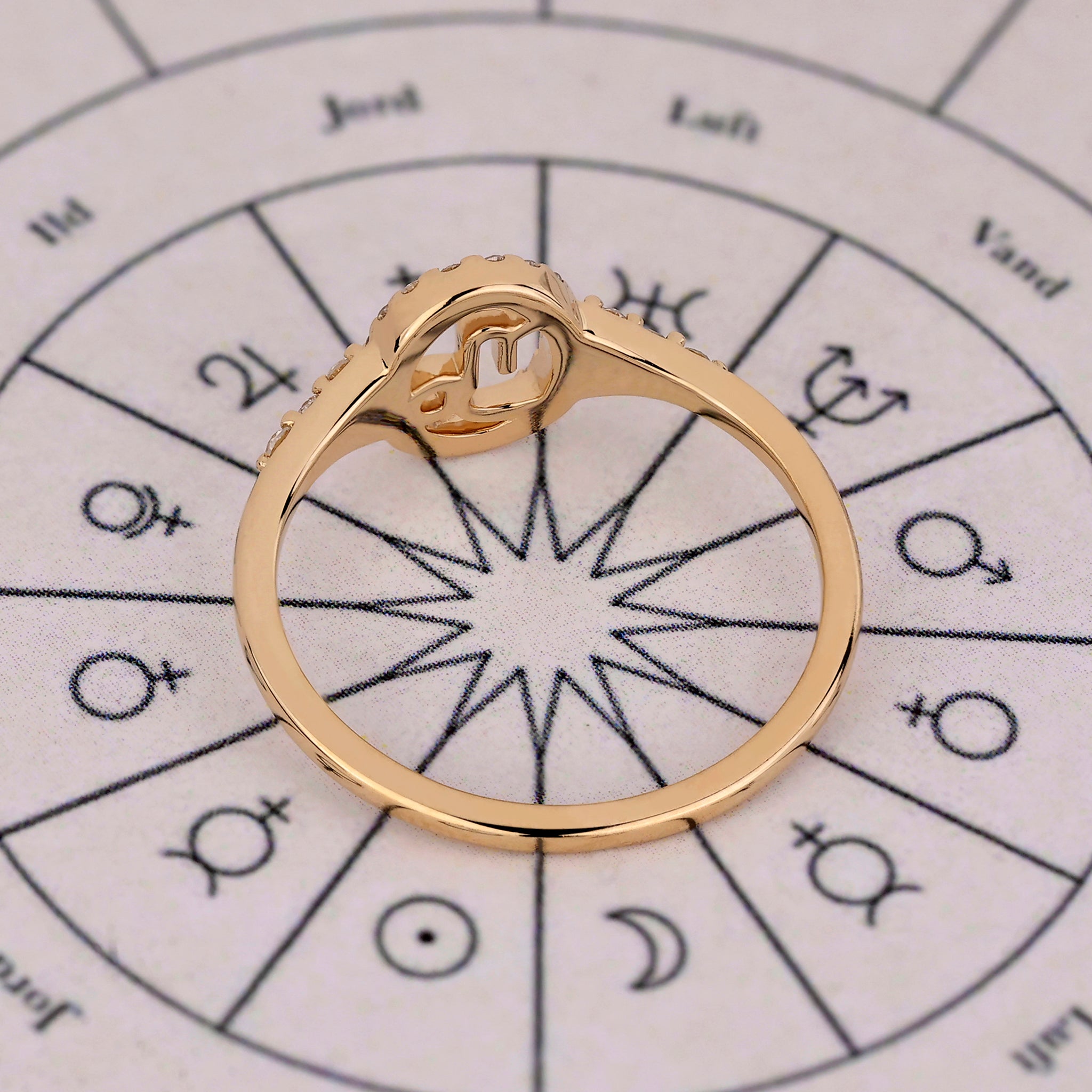 Halo engagement ring in yellow gold with Capricorn constellation details.
