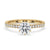 Pave setting ring with round cut diamond, set in a yellow gold band.
