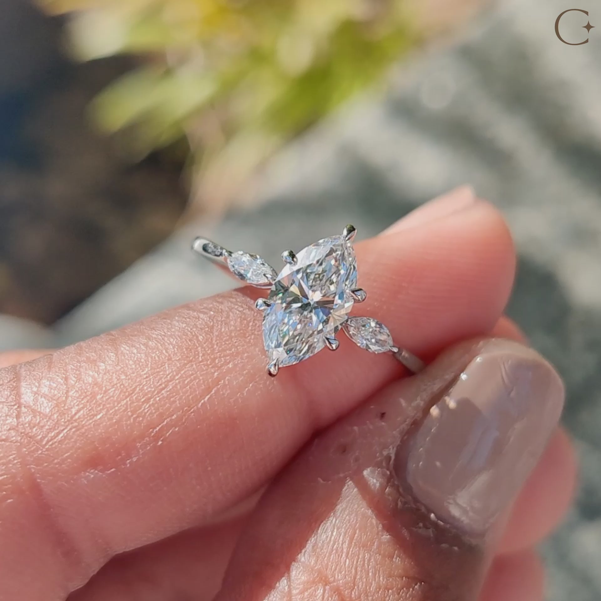 Elegant 3 stone engagement ring with sparkling diamonds.
