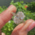 Oval lab grown diamond ring with euro shank design