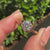 Round Diamond Solitaire Engagement Ring With 6 Prong
