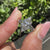 Split shank solitaire marquise diamond ring with lab grown diamond.