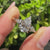 Pear center diamond ring with kite cut side stones.
