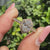 Oval Diamond Ring - Hexagon Halo Style