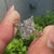 Dutch marquise center diamond with round accent diamonds.

