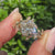 Princess cut center diamond with round cut pave accents.
