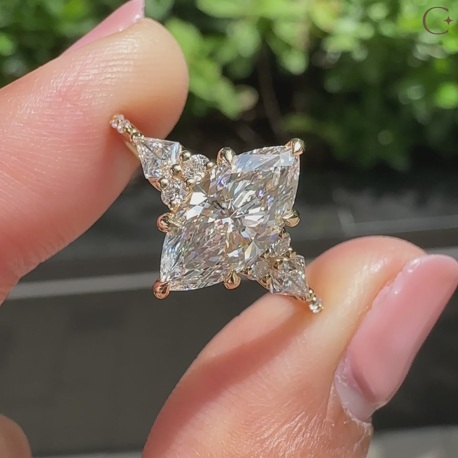 Muse setting paired with 6 claw prong setting.
