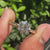 Filigree Engagement Ring with Round Old European Diamond