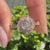 Vintage style Portuguese cut diamond ring with fine milgrain.