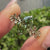 Ginkgo leaf ring with handcrafted botanical band details.
