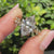 Nature inspired marquise diamond ring with tulip prong setting.