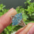 Blue diamond marquise ring with six prong setting

