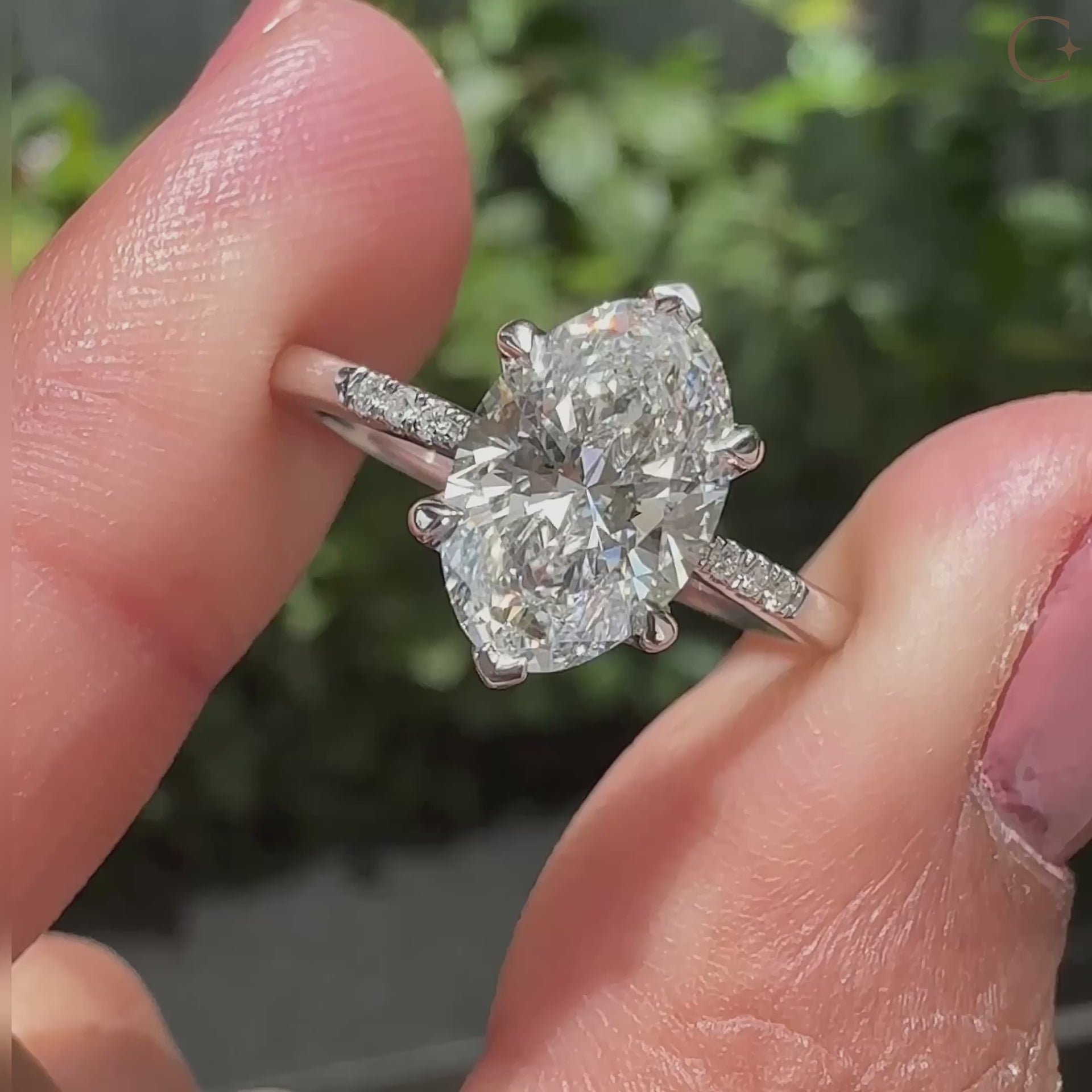 Pave setting ring with 4 claw prong setting.