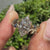 Nature inspired leaf, vine and bark texture details on marquise ring.
