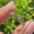 Carat Diamonds wedding band with nature inspired leaf details.
