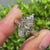 Nature inspired marquise engagement ring with floral design.
