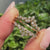 Round lab grown diamonds set along both ends of the enhancer.