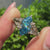 Dutch marquise center diamond in an open gallery basket setting.
