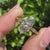 Lab grown marquise diamond ring with milgrain outline.
